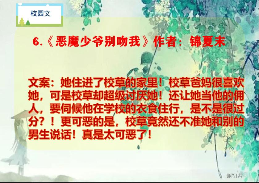 金牌保镖熊先生